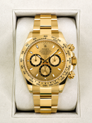 Daytona Gold Automático