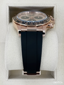 Daytona Champagne Dial Rose Automático