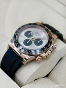 Daytona Champagne Dial Rose Automático